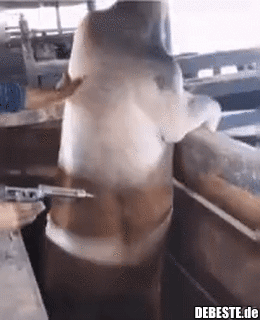 Manch einer hat wirklich Angst vor Nadeln..