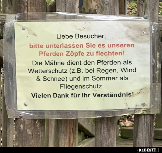 Liebe Besucher, bitte unterlassen Sie es unseren Pferden.. - Lustige Bilder | DEBESTE.de