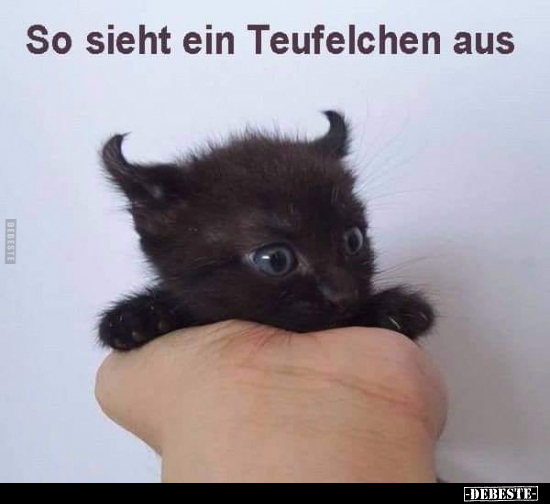 So sieht ein Teufelchen aus.. - Lustige Bilder | DEBESTE.de