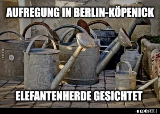 Aufregung in Berlin-Köpenick.. - Lustige Bilder | DEBESTE.de