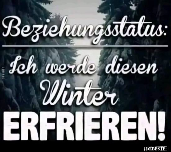 Beziehungsstatus: Ich werde diesen Winter ERFRIEREN!.. - Lustige Bilder | DEBESTE.de