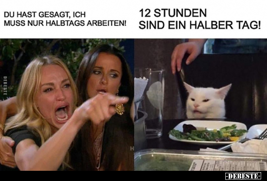 Du hast gesagt, ich muss nur halbtags arbeiten!.. - Lustige Bilder | DEBESTE.de