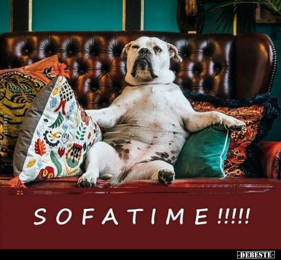 Sofatime!!!!!.. - Lustige Bilder | DEBESTE.de