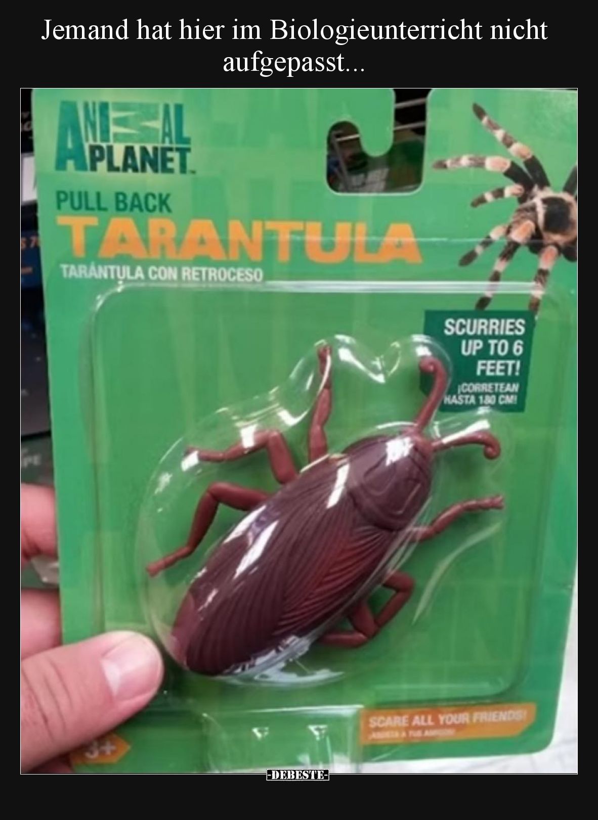 Jemand hat hier im Biologieunterricht nicht aufgepasst.