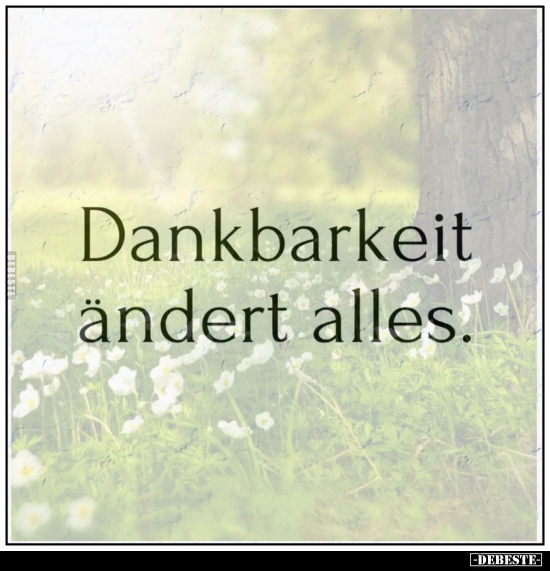 Dankbarkeit ändert alles.
