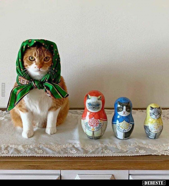  - Lustige Bilder | DEBESTE.de