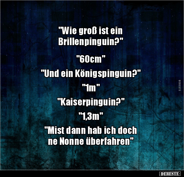 "Wie groß ist ein Brillenpinguin?".. - Lustige Bilder | DEBESTE.de