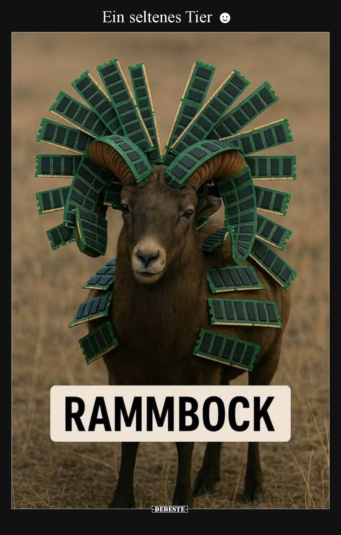 Ein seltenes Tier ☻