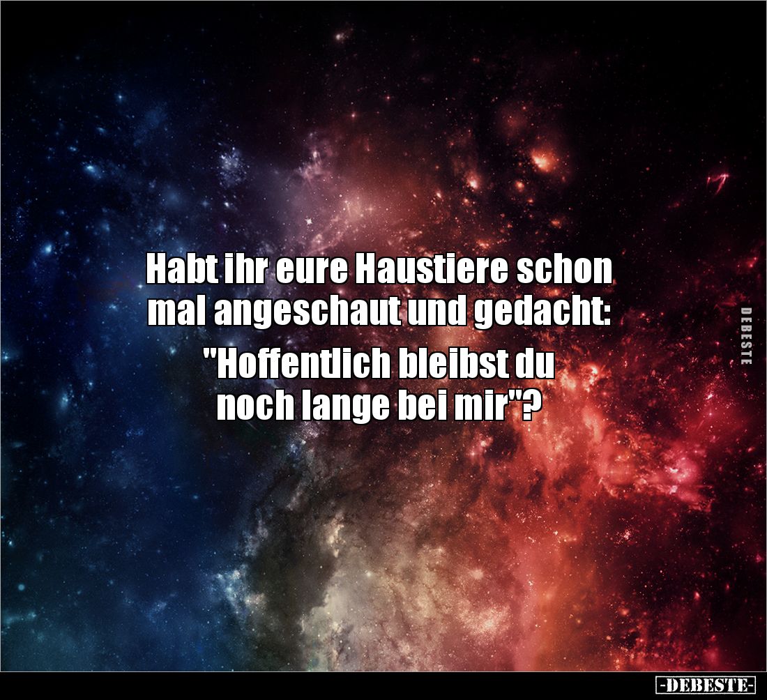 Habt ihr eure Haustiere schon 
mal angeschaut und gedacht: 

"Hoffentlich bleibst du 
noch lange bei mir"?