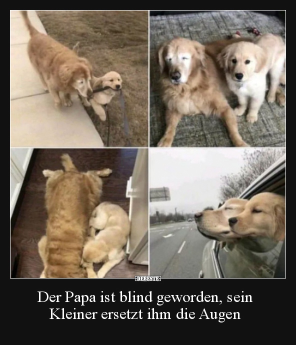 Der Papa ist blind geworden, sein Kleiner ersetzt ihm die..