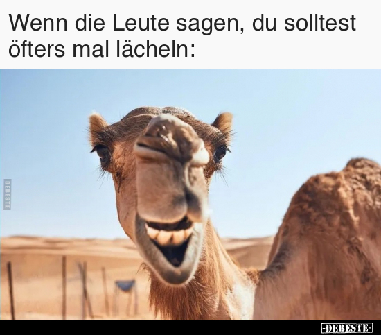 Wenn die Leute sagen, du solltest öfters mal lächeln... - Lustige Bilder | DEBESTE.de