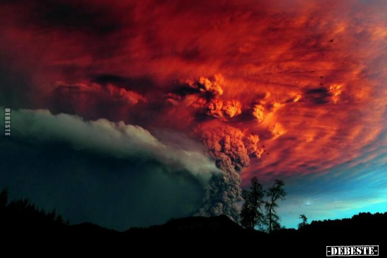  - Lustige Bilder | DEBESTE.de