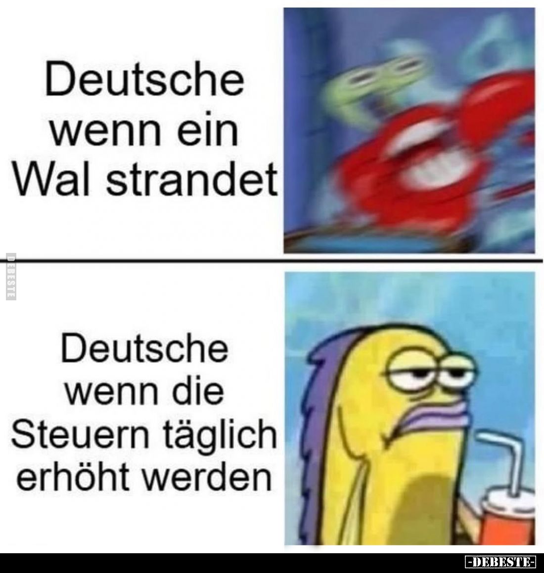 Deutsche wenn ein Wal strandet
-
Deutsche wenn die Steuern täglich erhöht werden