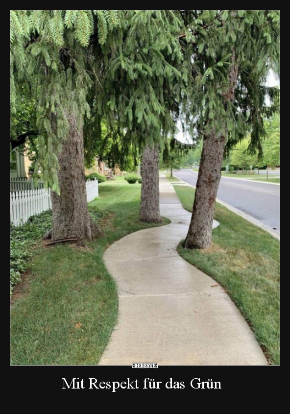 Mit Respekt für das Grün..