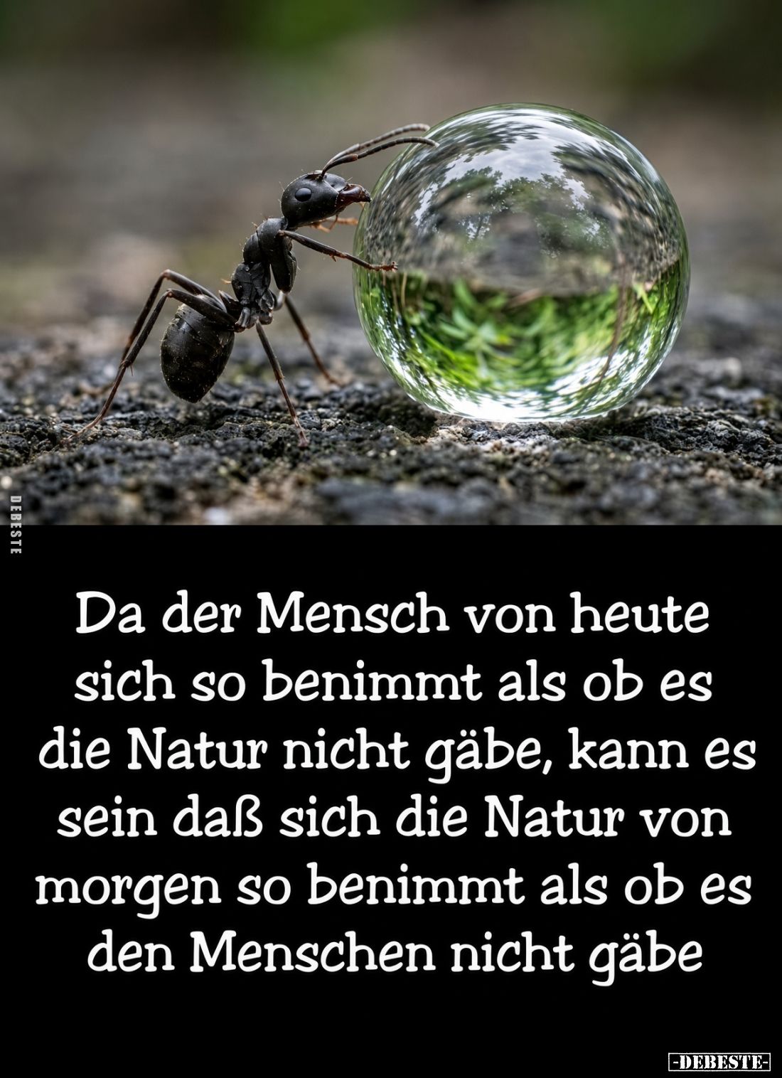 Da der Mensch von heute sich so benimmt als ob es die Natur nicht gäbe, kann es sein daß sich die Natur von morgen so benimmt...