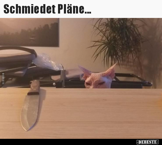 Schmiedet Pläne...