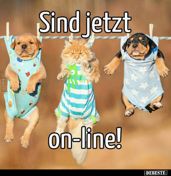 Sind jetzt
on-line!