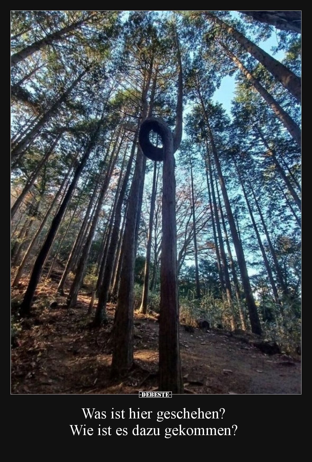 Was ist hier geschehen? Wie ist es dazu gekommen?.. - Lustige Bilder | DEBESTE.de