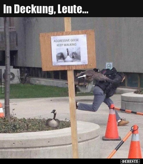 In Deckung, Leute...