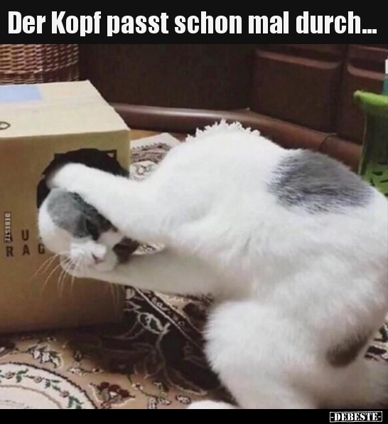 Der Kopf passt schon mal durch...