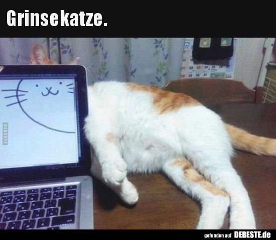 Grinsekatze...