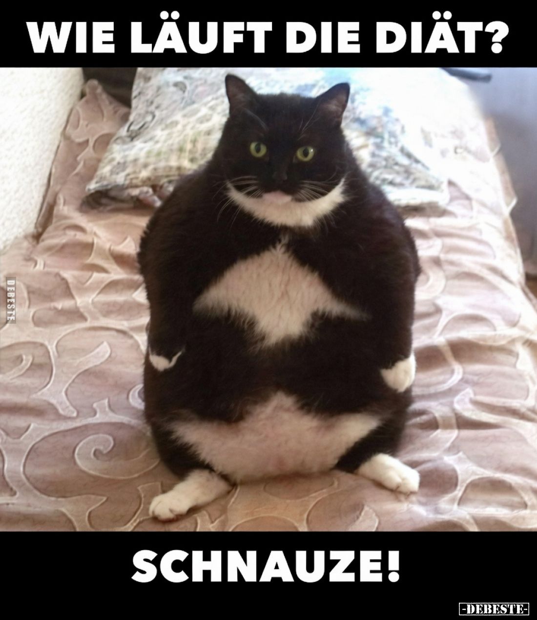 Wie läuft die Diät?
Schnauze!