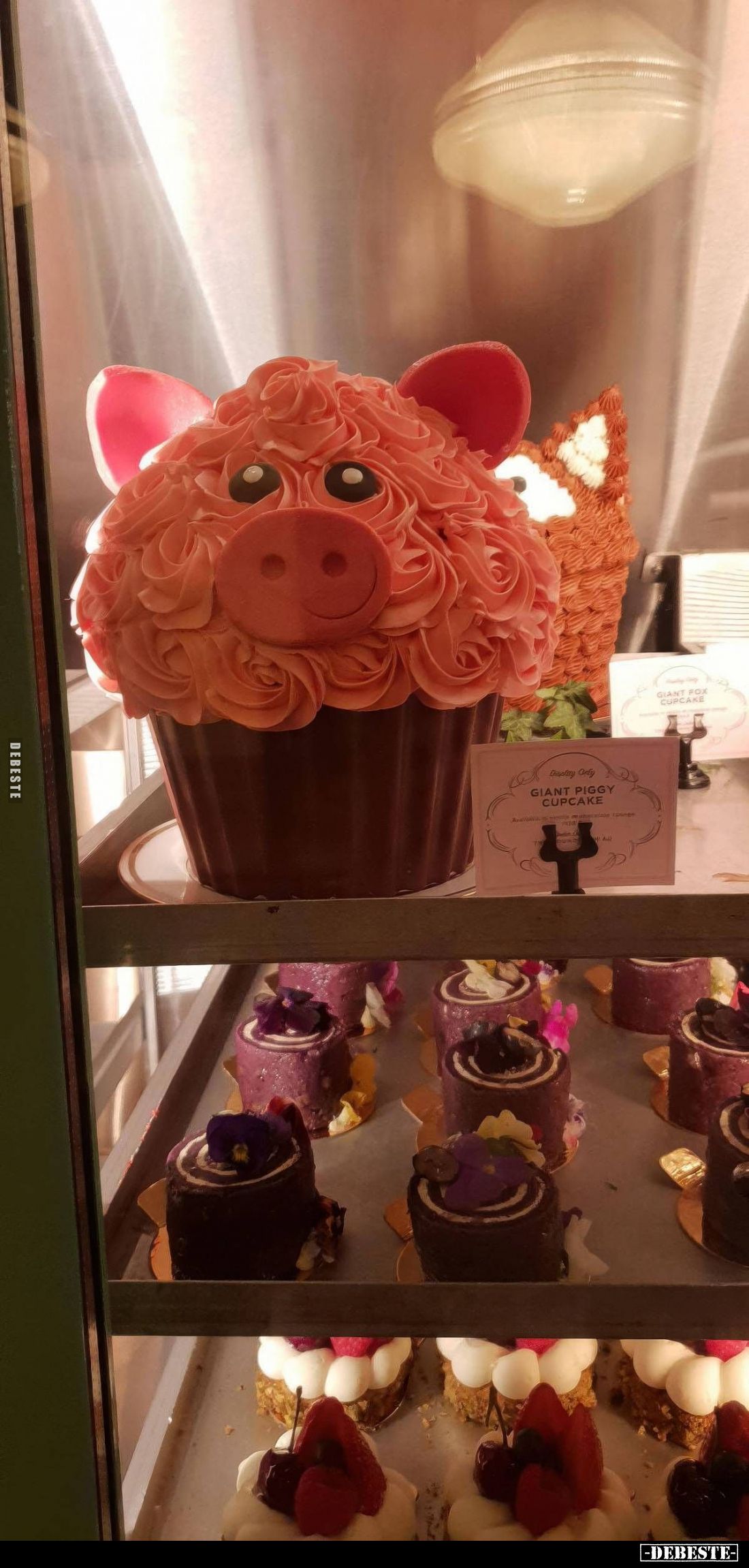  - Lustige Bilder | DEBESTE.de