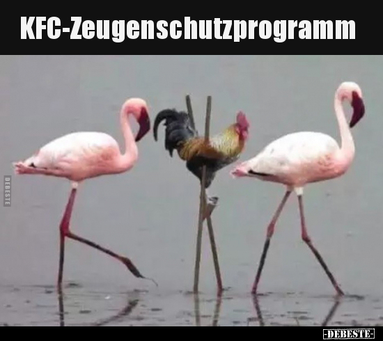 KFC-Zeugenschutzprogramm.. - Lustige Bilder | DEBESTE.de