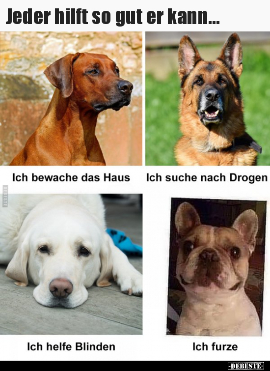 Jeder hilft so gut er kann...