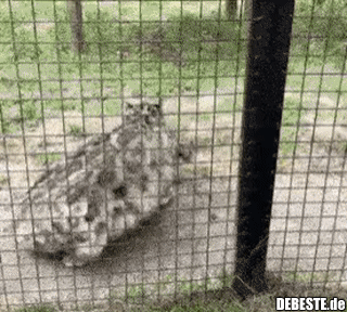 Meine Trophäe, ich werde sie niemandem geben..