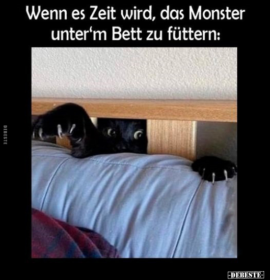 Wenn es Zeit wird, das Monster unter'm Bett zu füttern.. - Lustige Bilder | DEBESTE.de