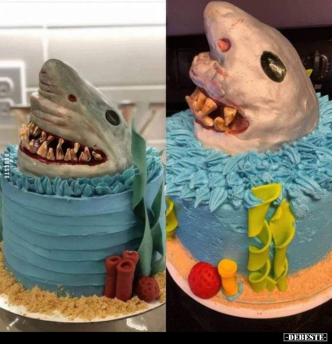 Erwartung vs. Realität