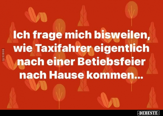 Ich frage mich bisweilen, wie Taxifahrer eigentlich nach.. - Lustige Bilder | DEBESTE.de
