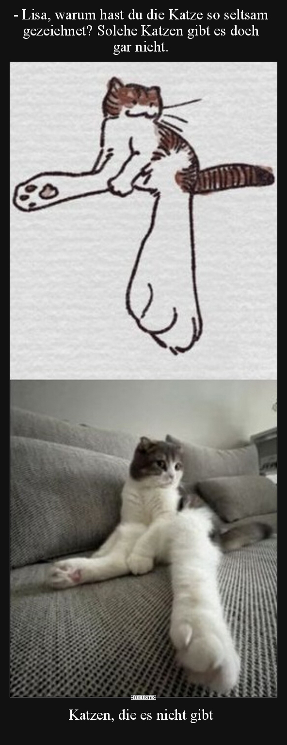 - Lisa, warum hast du die Katze so seltsam gezeichnet?.. - Lustige Bilder | DEBESTE.de