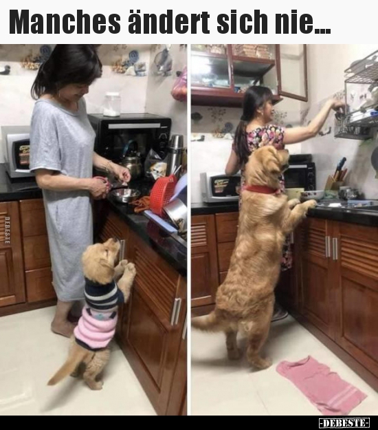 Manches ändert sich nie...