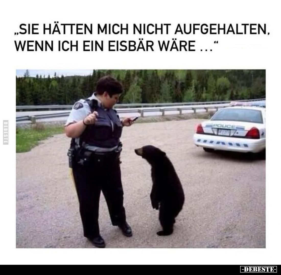 "Sie hätten mich nicht aufgehalten, wenn ich ein Eisbär.." - Lustige Bilder | DEBESTE.de
