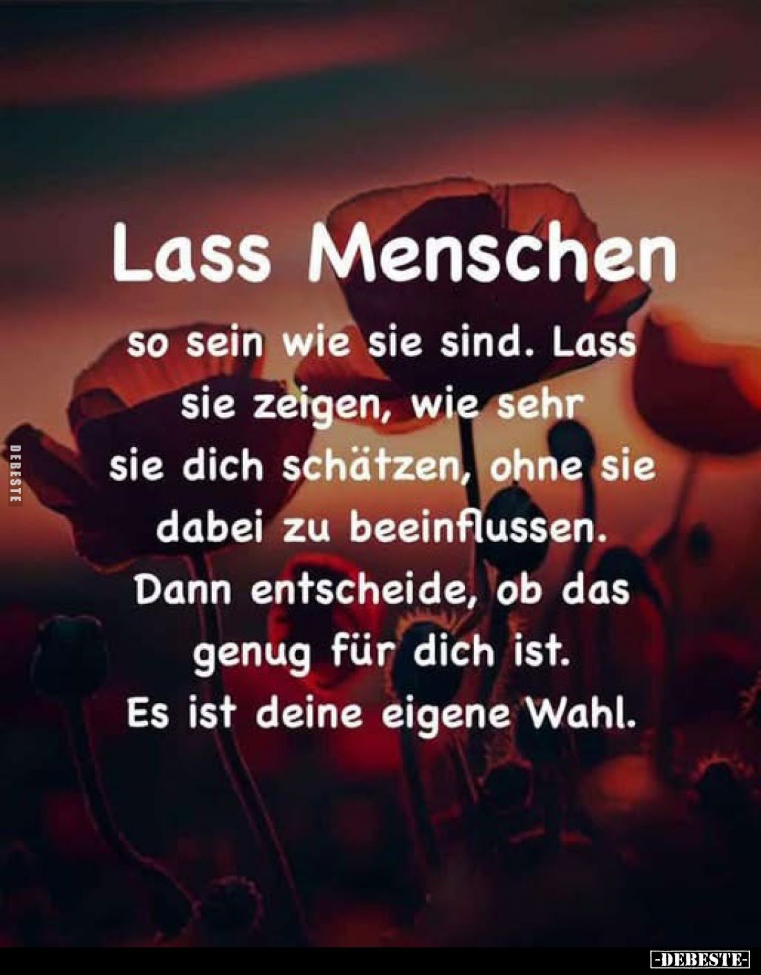 Lass Menschen 
so sein wie sie sind. Lass sie zeigen, wie sehr sie dich schätzen, ohne sie dabei zu beeinflussen. Dann entsc...