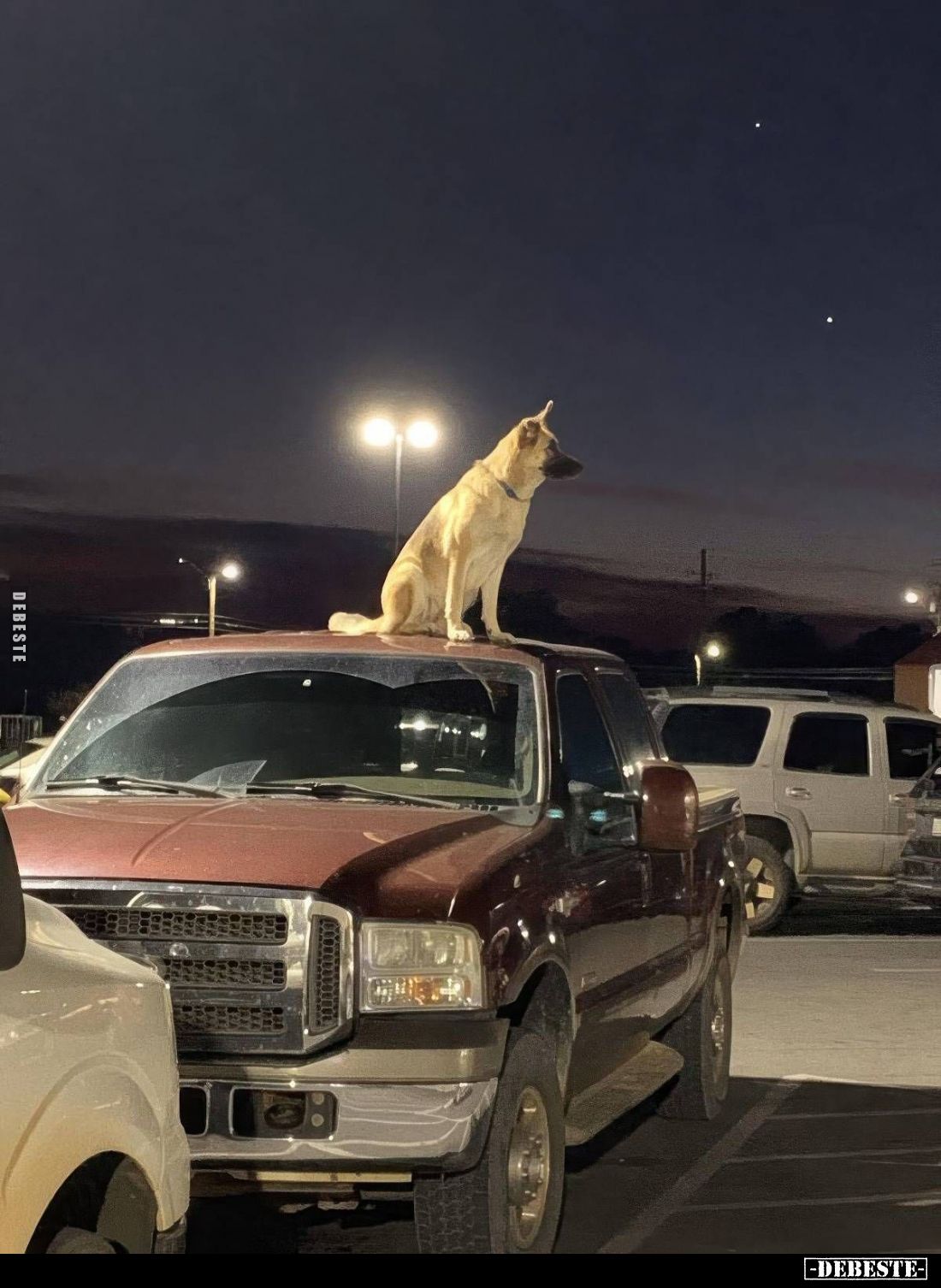  - Lustige Bilder | DEBESTE.de