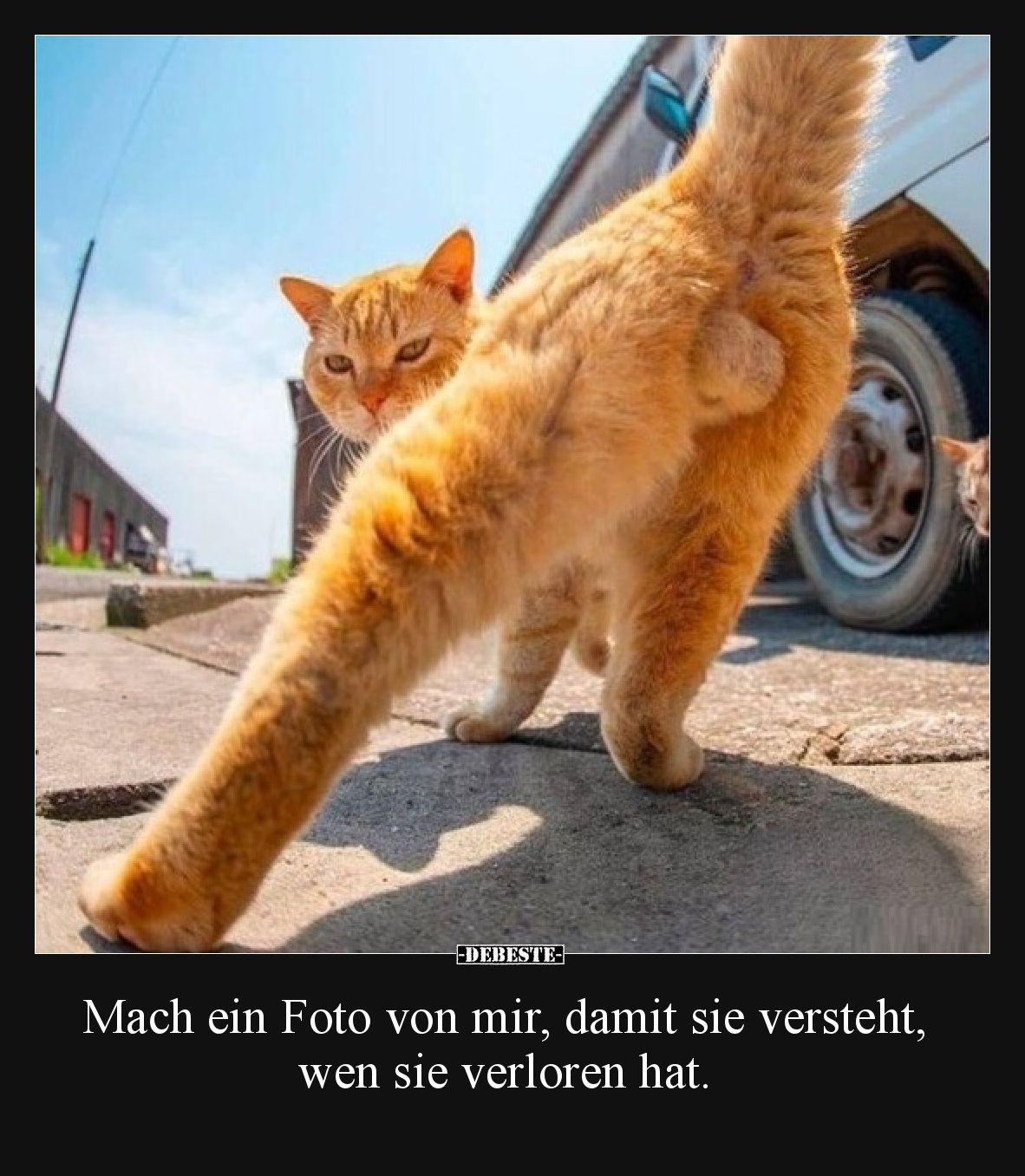 Mach ein Foto von mir, damit sie versteht, wen sie verloren hat.