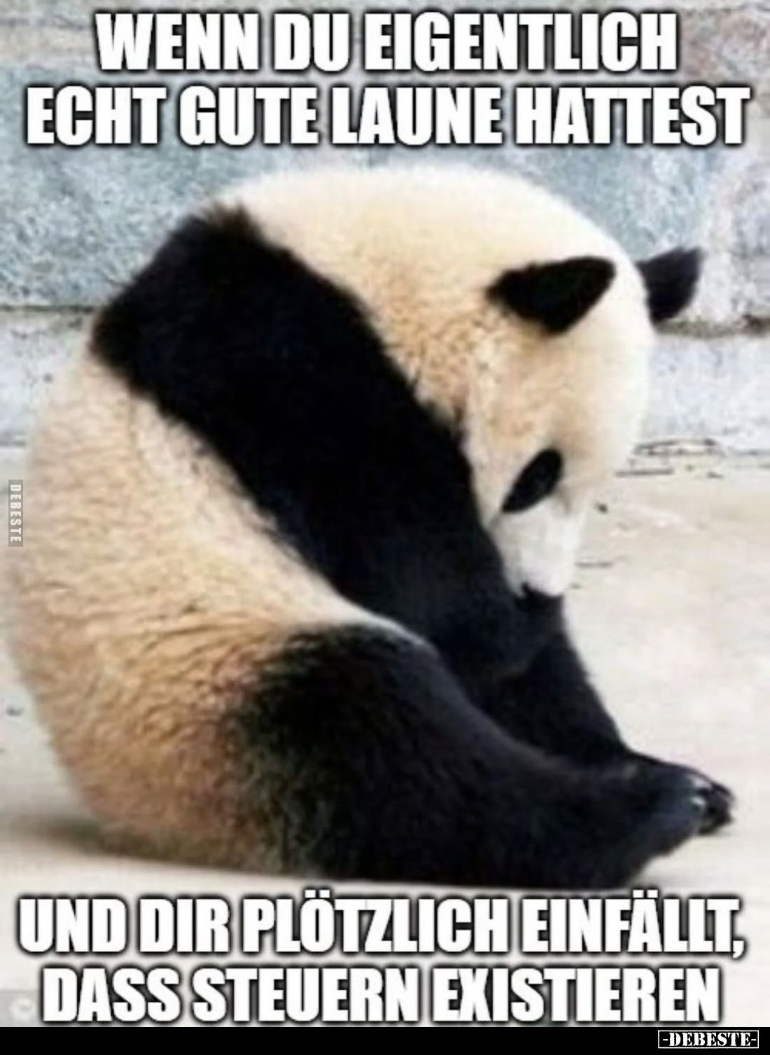 Wenn du eigentlich echt gute Laune hattest

und dir plötzlich einfällt, dass Steuern existieren.