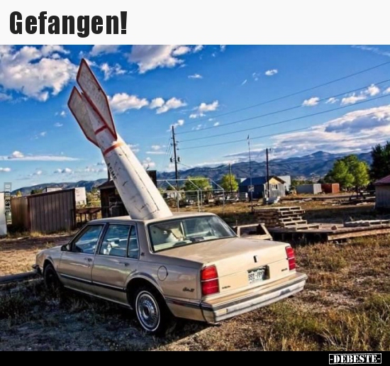 Gefangen!.. - Lustige Bilder | DEBESTE.de