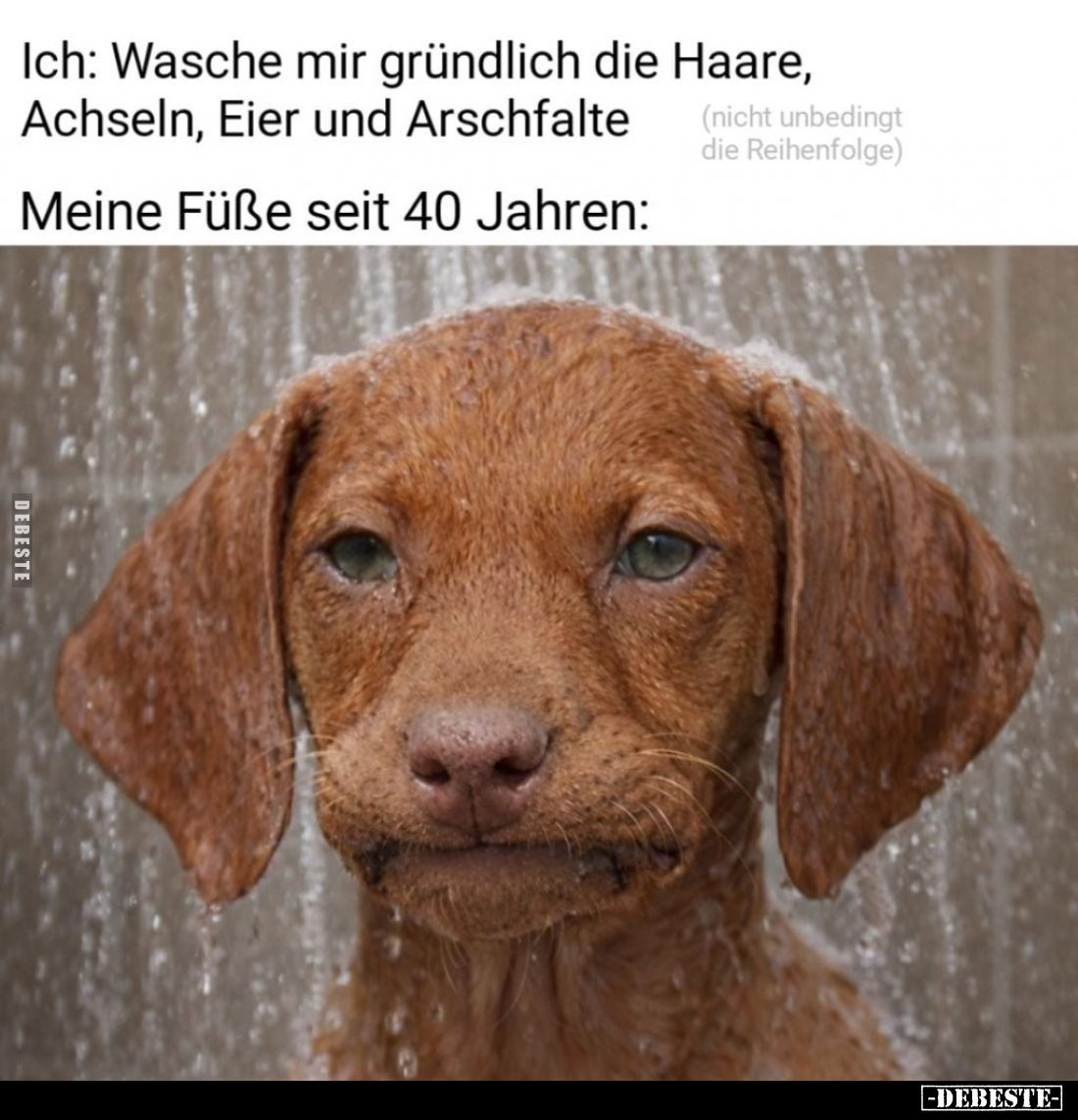 Ich: Wasche mir gründlich die Haare, Achseln, Eier und Arschfalte.
-
Meine Füße seit 40 Jahren: