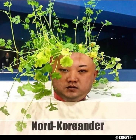 Nord-Koreander.. - Lustige Bilder | DEBESTE.de