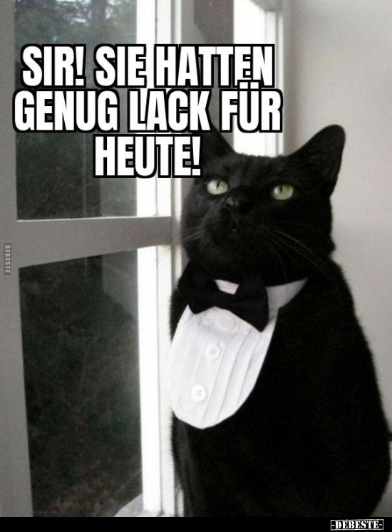 Sir! Sie hatten genug Lack für heute!