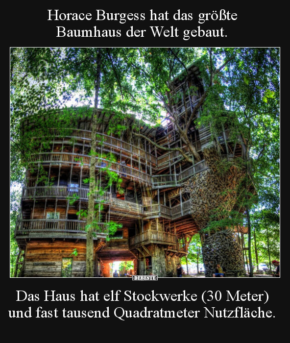 Horace Burgess hat das größte Baumhaus der Welt gebaut... - Lustige Bilder | DEBESTE.de