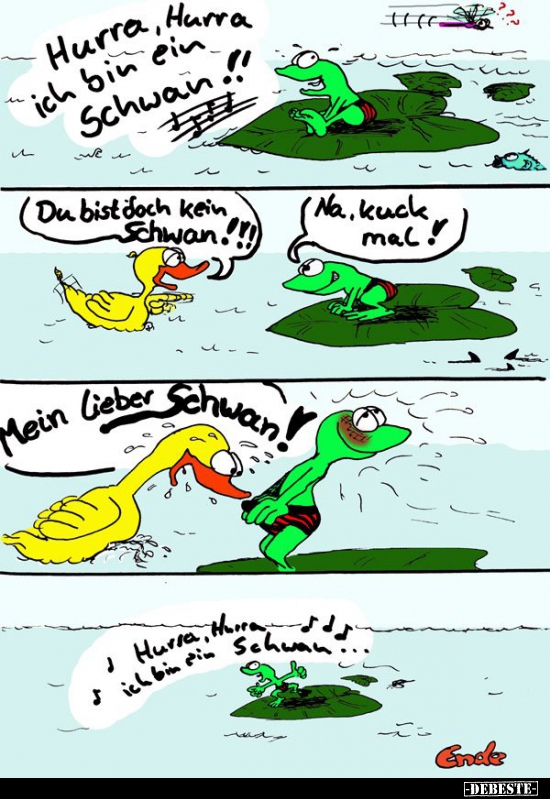 Hurra, Hurra ich bin ein Schwan!!.. - Lustige Bilder | DEBESTE.de