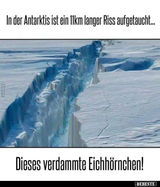 In der Antarktis ist ein 11 km langer Riss..