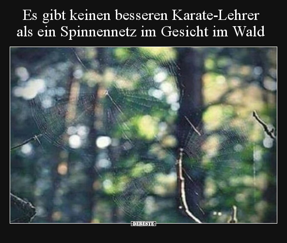 Es gibt keinen besseren Karate-Lehrer als ein Spinnennetz.. - Lustige Bilder | DEBESTE.de