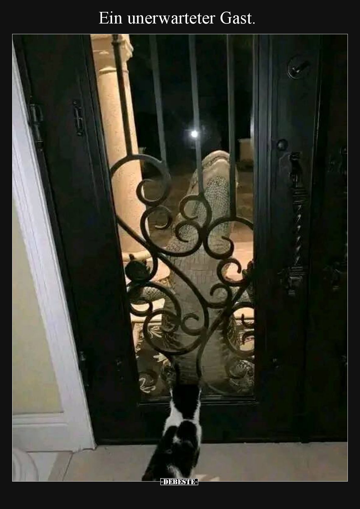 Ein unerwarteter Gast.