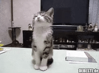 Wenn du noch etwas länger sitzen bleiben willst, aber Morpheus dich schon ruft..